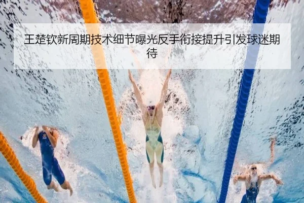 王楚钦新周期技术细节曝光反手衔接提升引发球迷期待